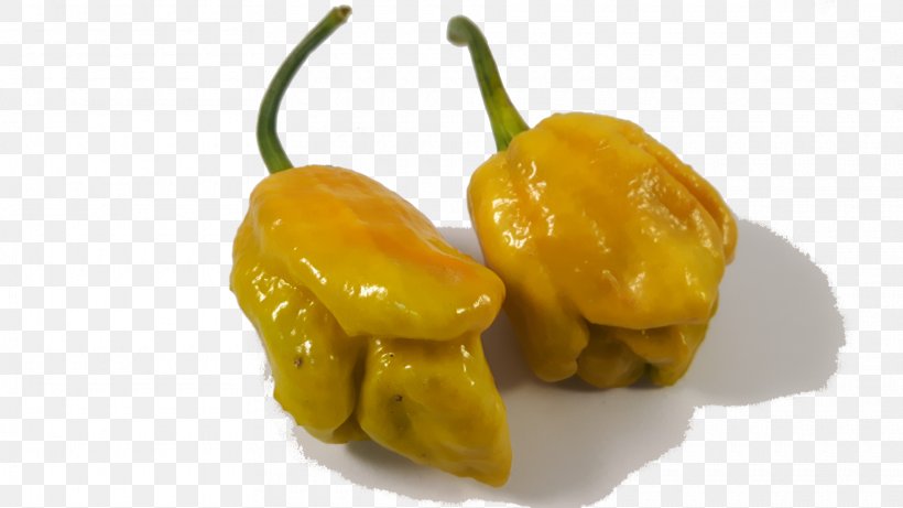Habanero Chili Pepper Yellow Pepper Bell Pepper Paprika, PNG, 1820x1024px, Habanero, Bell Pepper, Bell Peppers And Chili Peppers, Capsicum, Capsicum Annuum Download Free