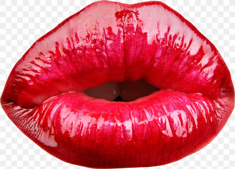Lip High-definition Television 4K Resolution Wallpaper, PNG, 2677x1923px, Lip, Close Up, Cosmetics, French Kiss, Kiss Download Free