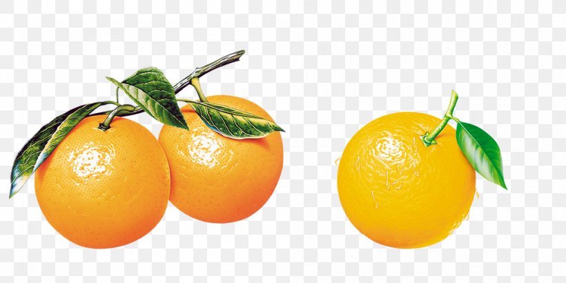 Orange Tangerine Citrus Xd7 Sinensis Frutti Di Bosco Fruit, PNG, 1000x500px, Orange, Apples And Oranges, Bitter Orange, Citric Acid, Citrus Download Free