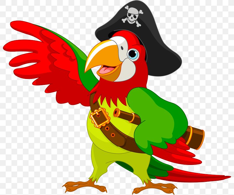 Pirate Parrot Clip Art Bird Illustration, PNG, 800x682px, Parrot, Animal Figure, Art, Artwork, Beak Download Free