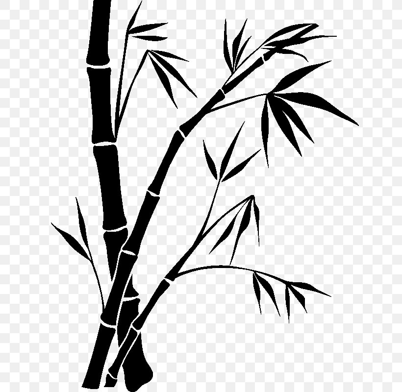 Bamboo Painting Drawing, PNG, 800x800px, Painting, Art, Bamboo, Bamboo Painting, Black And White Download Free