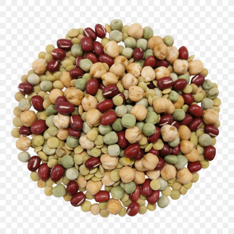 Bean Legume Food Khorasan Wheat Sprouting, PNG, 2074x2074px, Bean, Adzuki Bean, Chickpea, Commodity, Common Bean Download Free