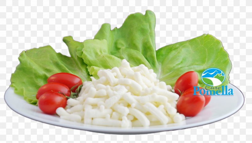 Milk Vegetarian Cuisine Cream Food Dairy Products, PNG, 5300x3019px, Milk, Beyaz Peynir, Cheese, Cream, Cuisine Download Free