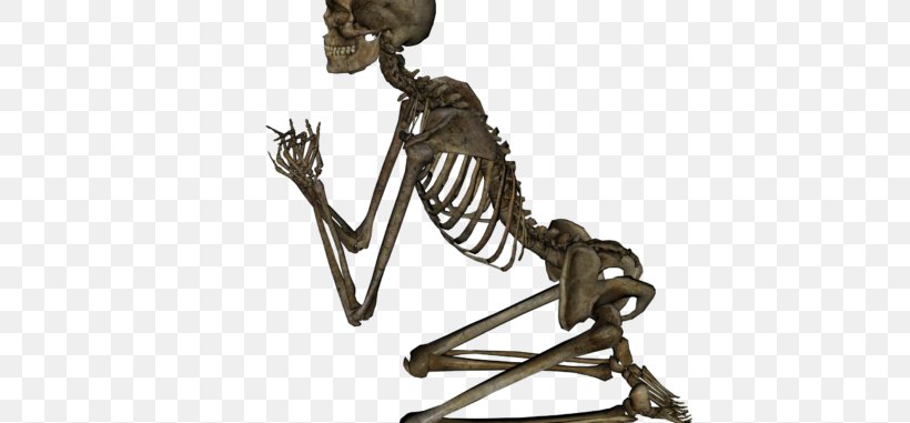 Clip Art Skeleton Skull Image, PNG, 678x381px, Skeleton, Bone, Chair, Drawing, Figurine Download Free