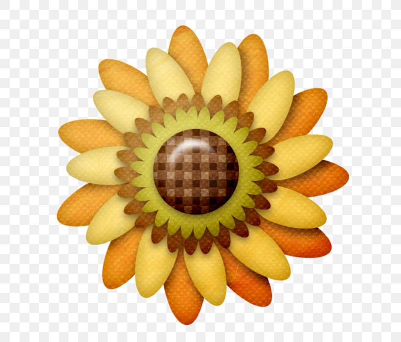 Sunflower M Close-up, PNG, 700x700px, Sunflower M, Closeup, Daisy, Daisy Family, Flower Download Free