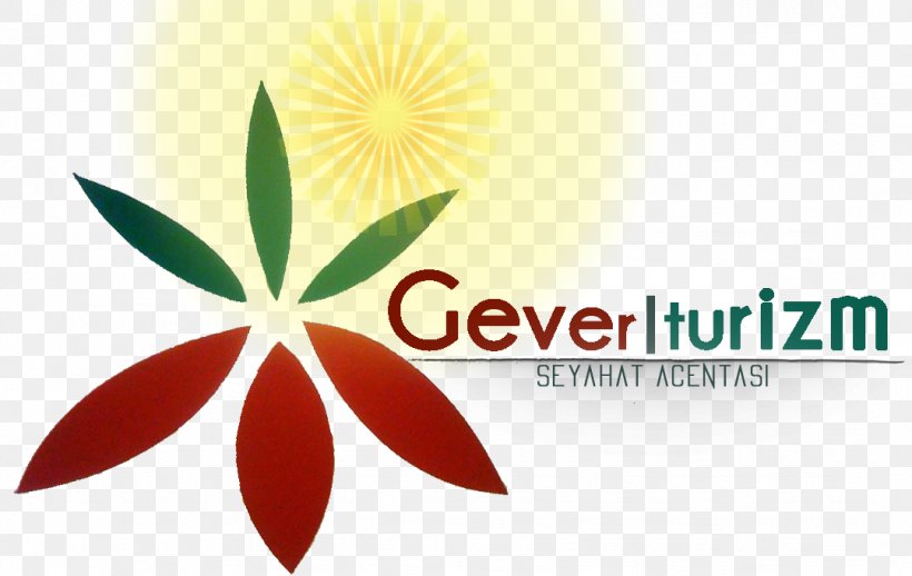 Gevor Tourism Hotel Şemdinli, PNG, 1079x682px, Hotel, Brand, Computer, Flower, Geraniaceae Download Free
