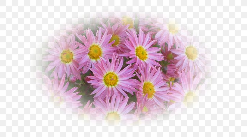 Cut Flowers Floral Design Flower Bouquet Artificial Flower, PNG, 650x456px, Flower, Artificial Flower, Chrysanthemum, Chrysanths, Cut Flowers Download Free