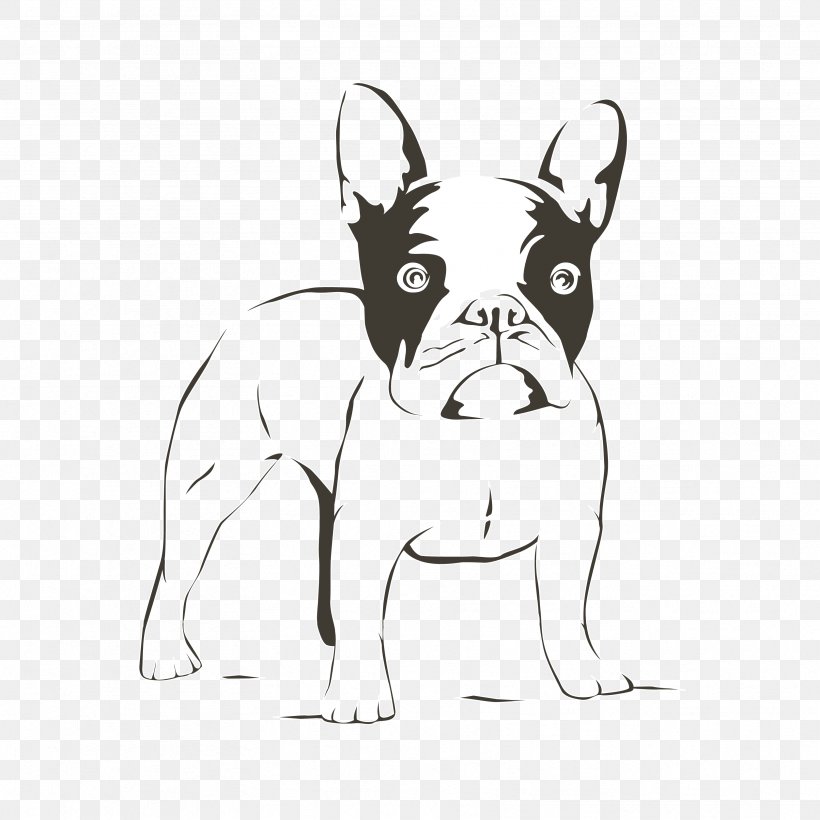 French Bulldog Puppy Boston Terrier Standard Schnauzer, PNG, 3333x3333px, French Bulldog, American Kennel Club, Artwork, Black And White, Boston Terrier Download Free