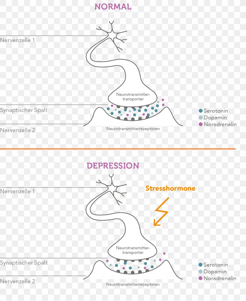 Major Depressive Disorder Agy Stress Hormone Neurobiology Bipolar Disorder, PNG, 1454x1775px, Watercolor, Cartoon, Flower, Frame, Heart Download Free