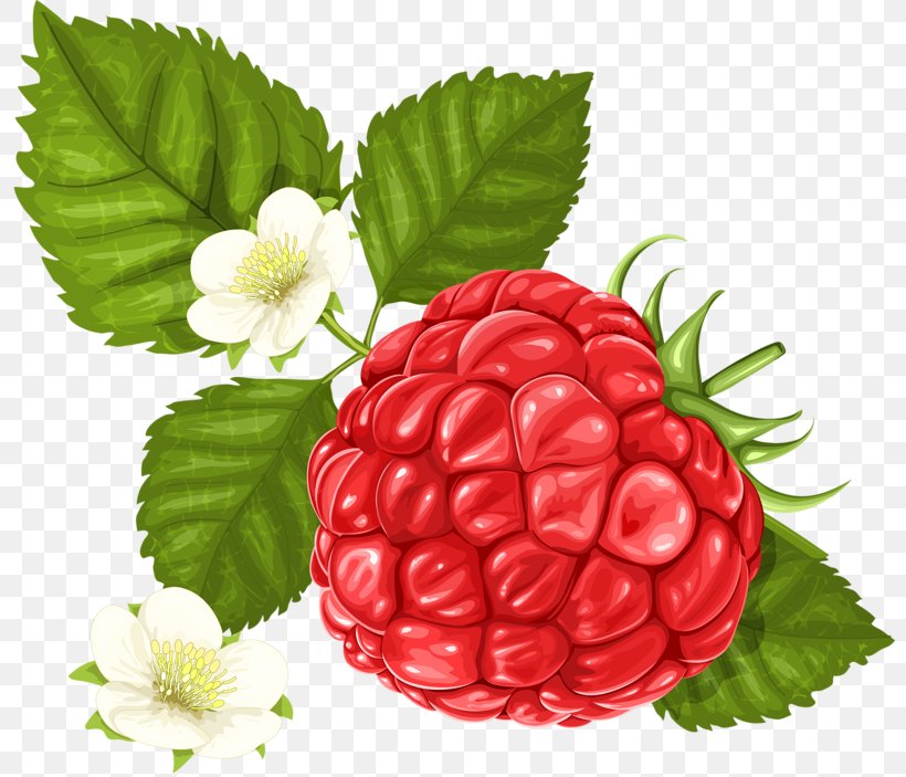 Frutti Di Bosco Raspberry Clip Art, PNG, 800x703px, Frutti Di Bosco, Berry, Blackberry, Boysenberry, Cranberry Download Free