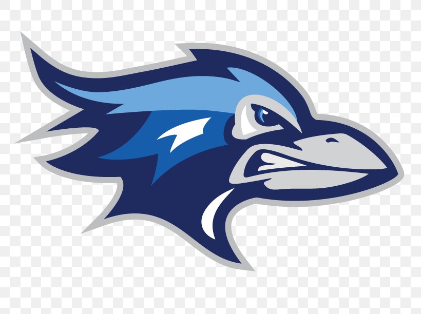 Toronto Blue Jays Lexington High School Logo Dolphin, PNG, 792x612px, Toronto Blue Jays, Automotive Design, Beak, Bird, Bird Of Prey Download Free