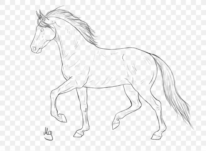 American Quarter Horse Mustang Pony Stallion Colt, PNG, 1024x751px, American Quarter Horse, Animal, Animal Figure, Artwork, Black And White Download Free