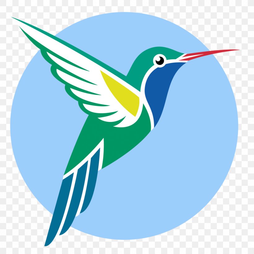 Broad-billed Hummingbird Vector Graphics Ruby-throated Hummingbird, PNG, 949x949px, Hummingbird, Artwork, Beak, Bird, Broadbilled Hummingbird Download Free