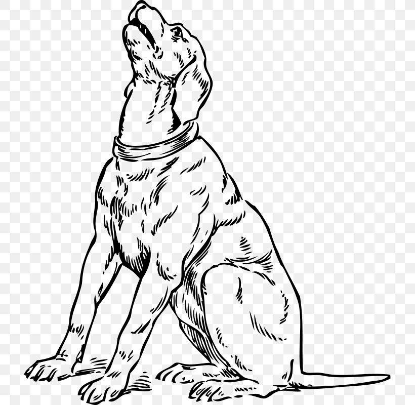 Dachshund Basset Hound Beagle Maltese Dog Clumber Spaniel, PNG, 725x800px, Dachshund, Art, Artwork, Bark, Basset Hound Download Free