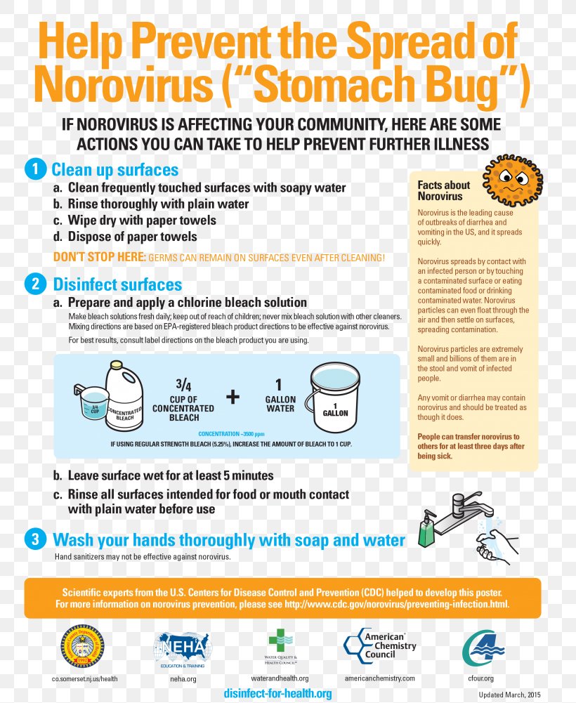 Norovirus Gastroenteritis Food Safety Health, PNG, 768x1001px, Norovirus Gastroenteritis, Area, Cleaning, Disease, Disinfectants Download Free