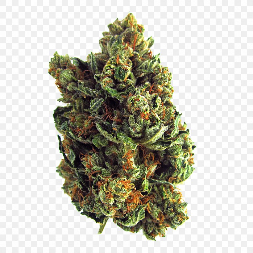 Kush Medical Cannabis Drug Haze, PNG, 1000x1000px, Kush, Blue Dream, California, Cannabis, Charlie Sheen Download Free