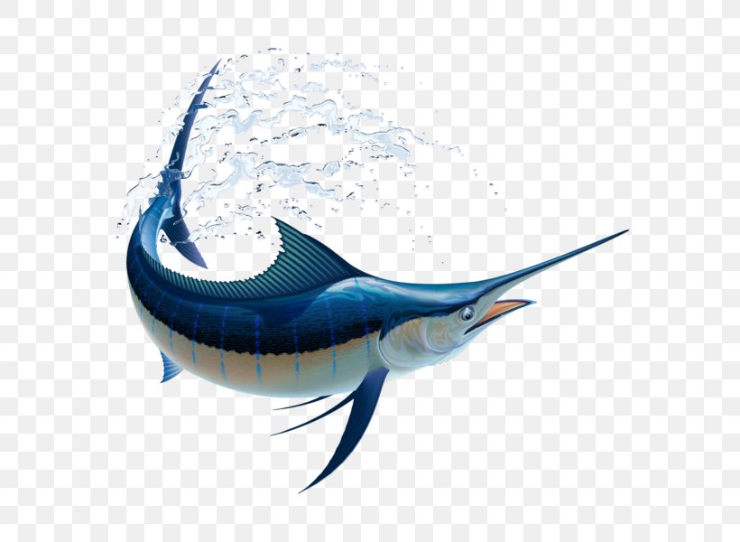 Marlin Fishing Atlantic Blue Marlin Billfish Vector Graphics White Marlin, PNG, 600x600px, Marlin Fishing, Atlantic Blue Marlin, Atlantic Sailfish, Billfish, Black Marlin Download Free