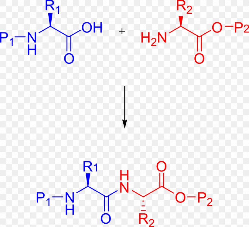Peptide Synthesis Branched-chain Amino Acid Protein Biosynthesis Chemical Synthesis, PNG, 1200x1096px, Peptide Synthesis, Amino Acid, Area, Blue, Branchedchain Amino Acid Download Free