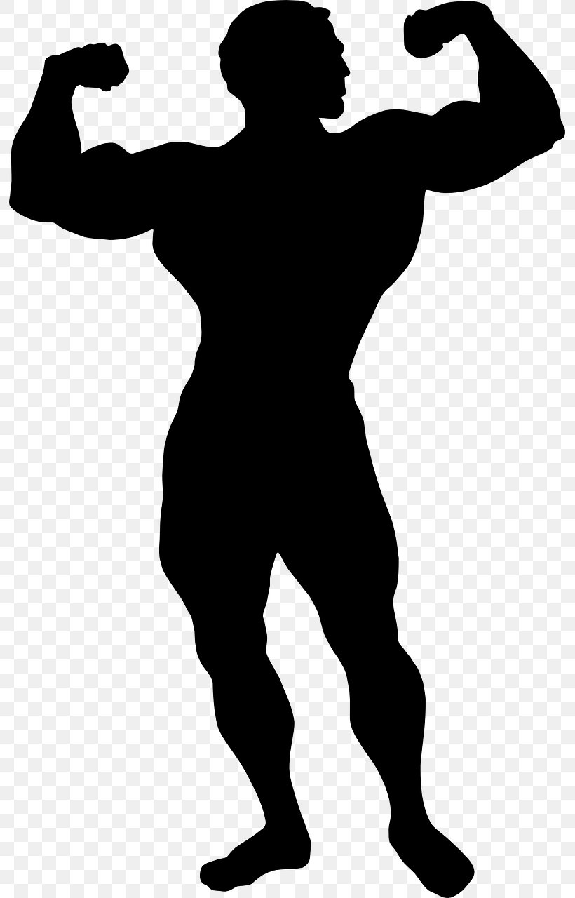 Bodybuilding Clip Art Illustration Silhouette Image, PNG, 793x1280px, Bodybuilding, Exercise, Muscle, Photography, Physical Fitness Download Free