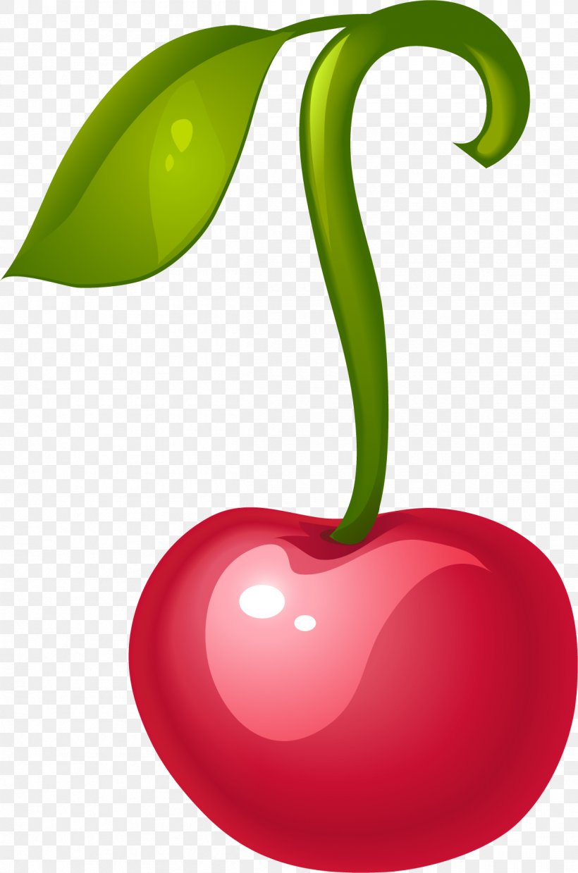 Cherry Fruit Clip Art, PNG, 1201x1815px, Cherry, Apple, Auglis, Diet Food, Food Download Free