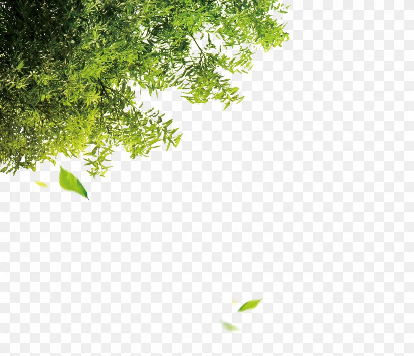Tree Leaf Computer File, PNG, 1739x1498px, Tree, Branch, Christmas, Grass, Green Download Free