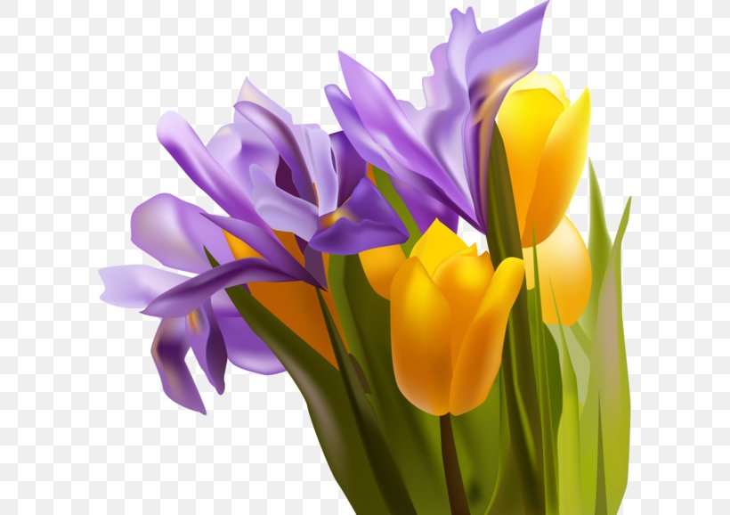 Yellow Tulip, PNG, 600x578px, Yellow, Color, Crocus, Cut Flowers, Floristry Download Free