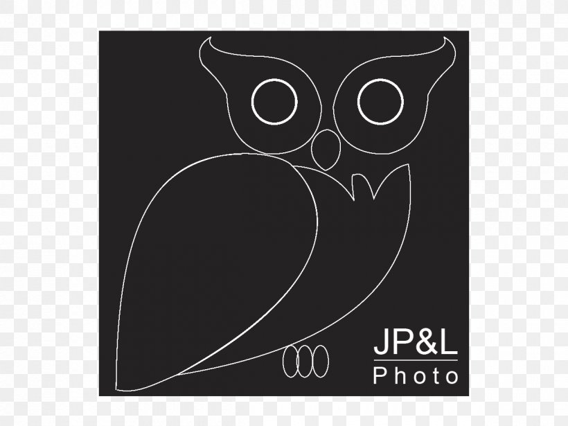 Owl Logo Brand Rectangle Font, PNG, 1200x900px, Owl, Bird, Bird Of Prey, Black, Black And White Download Free