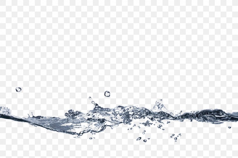 Water Splash Liquid, PNG, 1024x683px, Water, Black And White, Branch, Free Software, Geological Phenomenon Download Free
