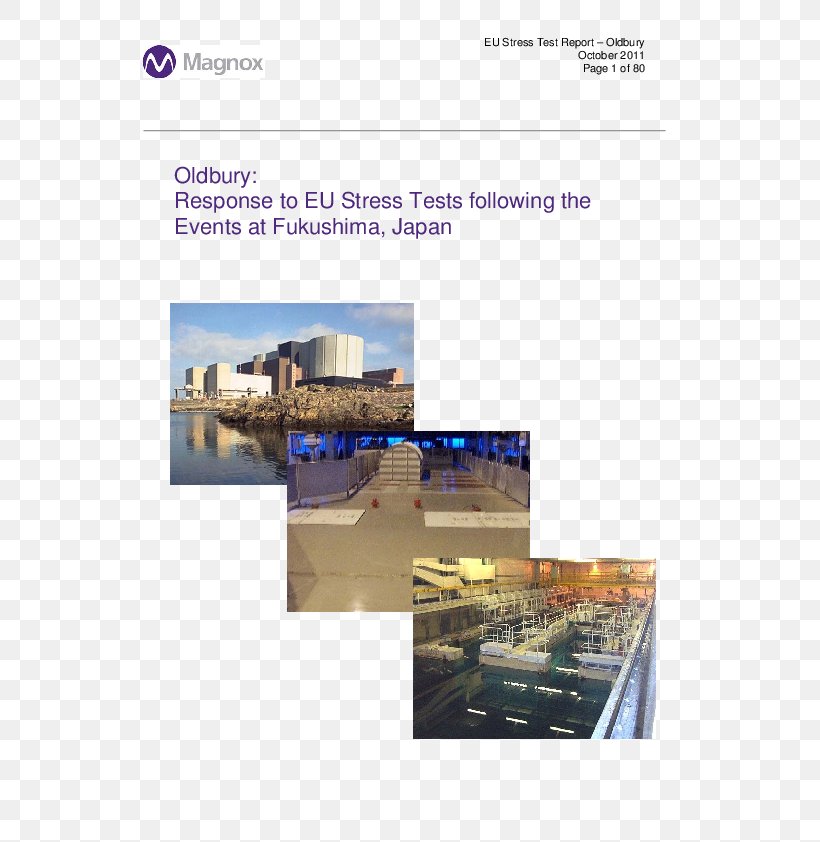 Wylfa Nuclear Power Station Engineering Henning Municipal Airport Nuclear Power Plant Product Design, PNG, 595x842px, Engineering, Brochure, Henning Municipal Airport, Nuclear Power, Nuclear Power Plant Download Free