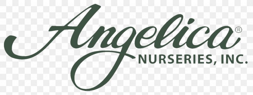 Angelica Nurseries Inc Logo Soil Real Estate Ariyana SmartCondotel Nha Trang, PNG, 1024x387px, Logo, Brand, Business, Condo Hotel, Hotel Download Free