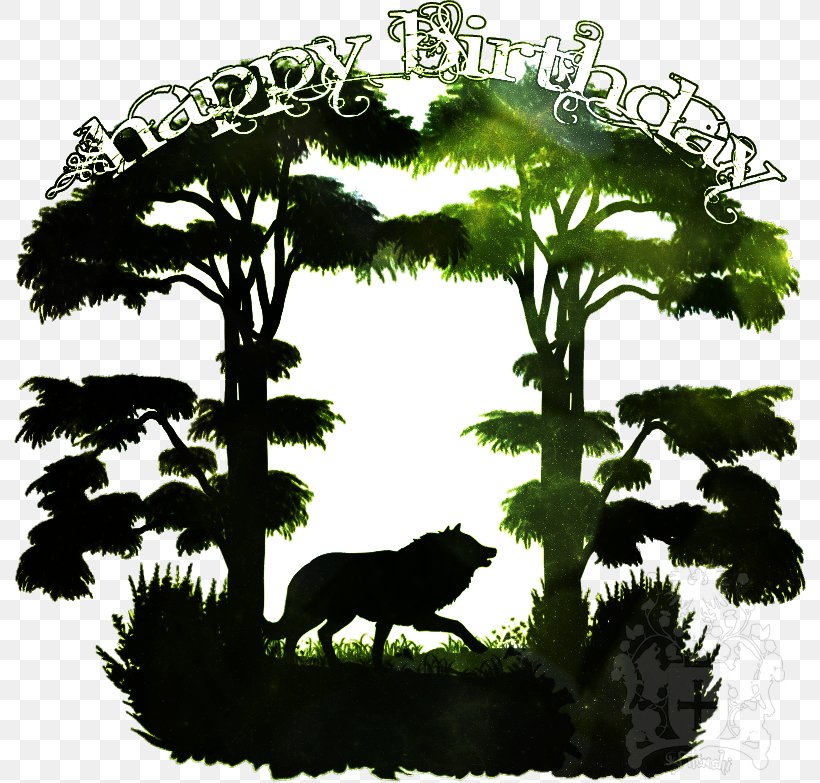 Bear Font, PNG, 792x783px, Bear, Branch, Carnivoran, Fauna, Grass Download Free