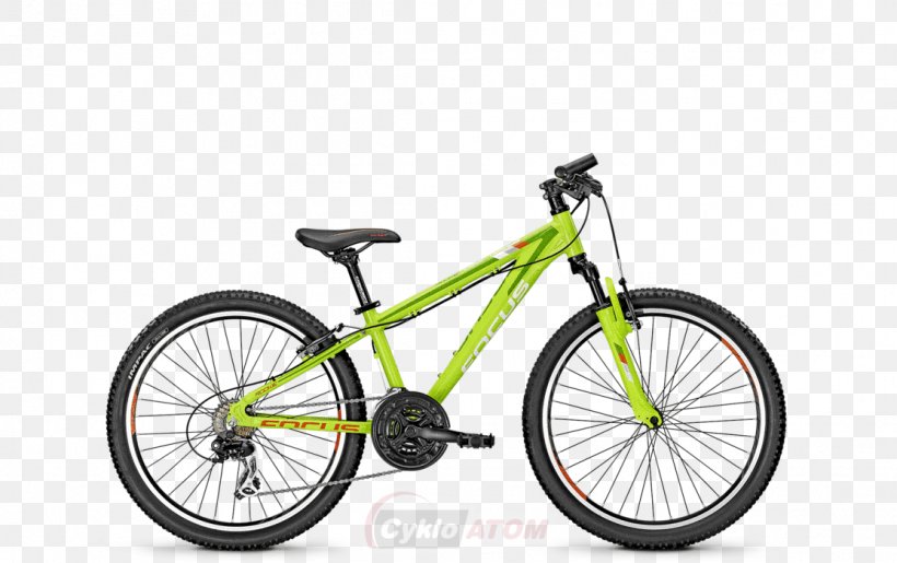 Bicycle Shop Mountain Bike Focus Bikes Balance Bicycle, PNG, 1113x700px, Bicycle, Automotive Tire, Balance Bicycle, Bicycle Accessory, Bicycle Computers Download Free