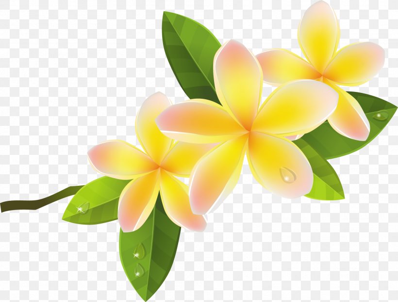 Frangipani Flower Clip Art, PNG, 1926x1466px, Frangipani, Can Stock Photo, Floristry, Flower, Flowering Plant Download Free