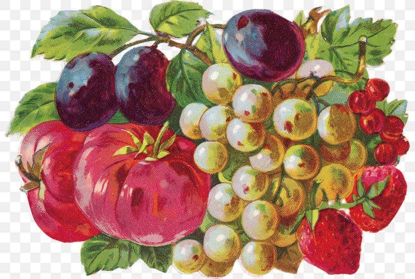 Full-Color Fruits And Flowers Illustrations Berries Grape Clip Art, PNG, 800x552px, Fruit, Altered, Apple, Art, Berries Download Free
