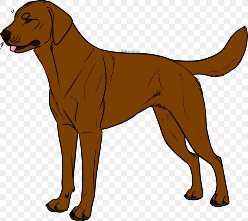 Nova Scotia Duck Tolling Retriever Labrador Retriever Chesapeake Bay Retriever Dog Breed Puppy, PNG, 947x843px, Nova Scotia Duck Tolling Retriever, American Water Spaniel, Carnivoran, Chesapeake Bay Retriever, Coat Download Free