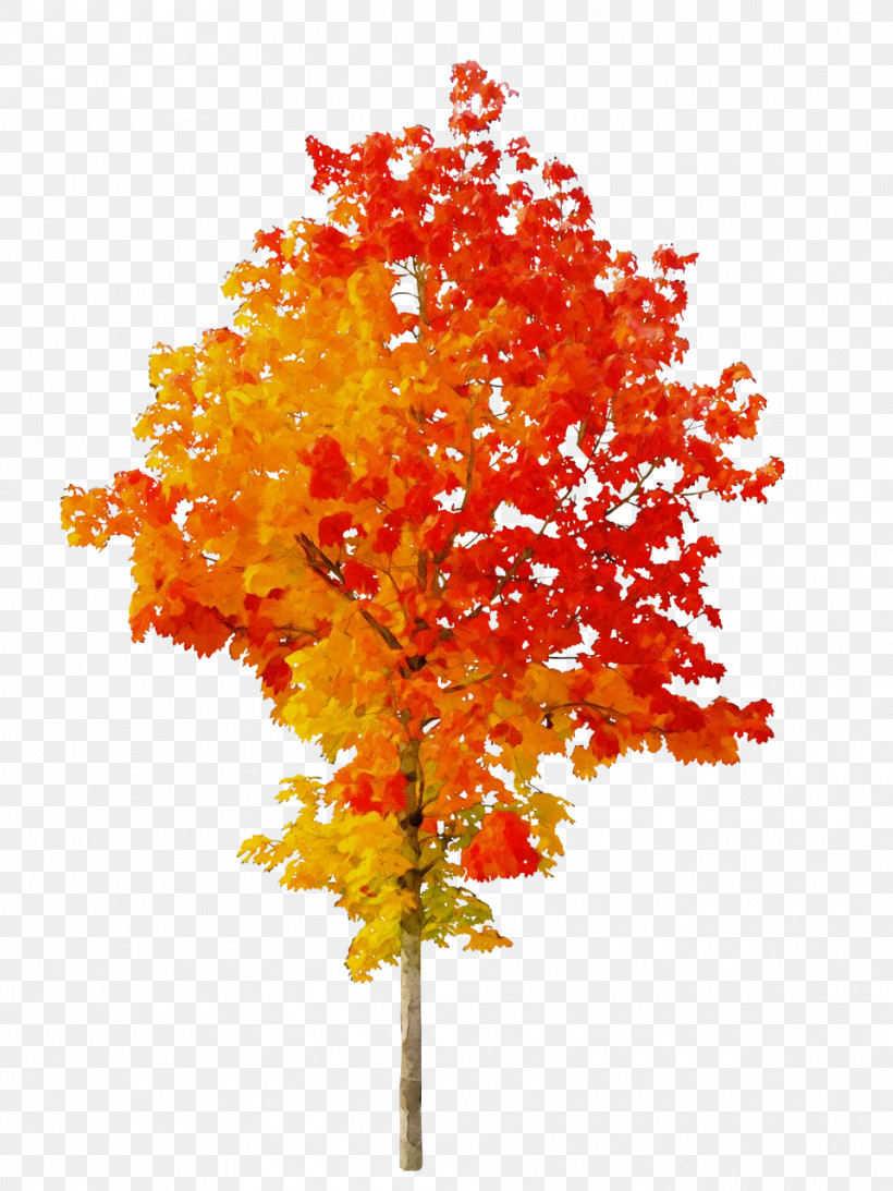Autumn Fall Tree Openclipart Transparency, PNG, 960x1280px, Watercolor, Autumn, Autumn Leaf Color, Black Maple, Branch Download Free