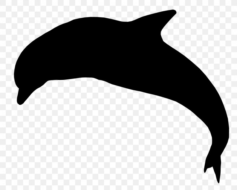 Dolphin Sea Lion Porpoise Whales Clip Art, PNG, 1280x1024px, Dolphin, Beak, Bottlenose Dolphin, Cetacea, Cetaceans Download Free