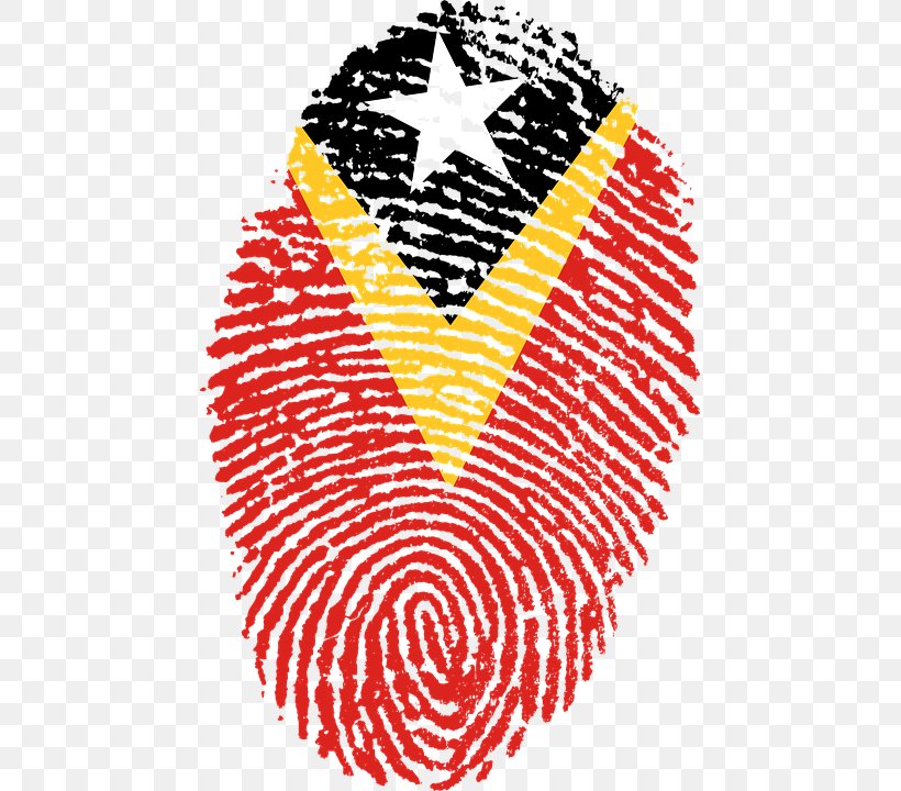 Fingerprint Flag Of Ghana, PNG, 455x720px, Fingerprint, Area, Black And White, Finger, Flag Download Free