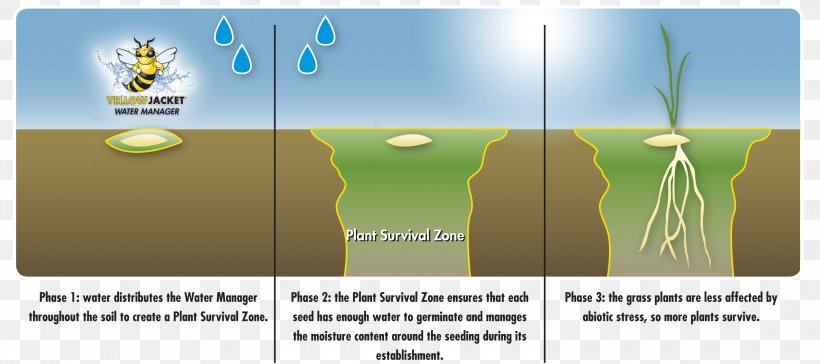 Water Resource Management Executive Manager Seed Enhancement Technology, PNG, 3000x1335px, Water, Brand, Energy, Executive Manager, Germination Download Free