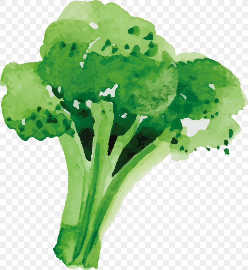 Broccoli Sunday Roast Vegetable Food, PNG, 1998x2180px, Broccoli, Cuisine, Food, Fruit, Grass Download Free