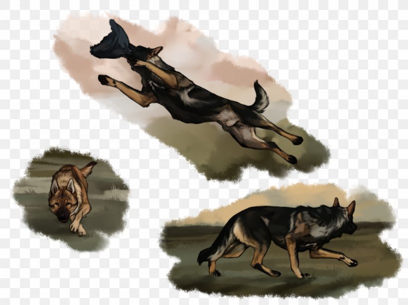 Canidae Dog Insect Mammal Wildlife, PNG, 1024x767px, Canidae, Carnivoran, Dog, Dog Like Mammal, Fauna Download Free