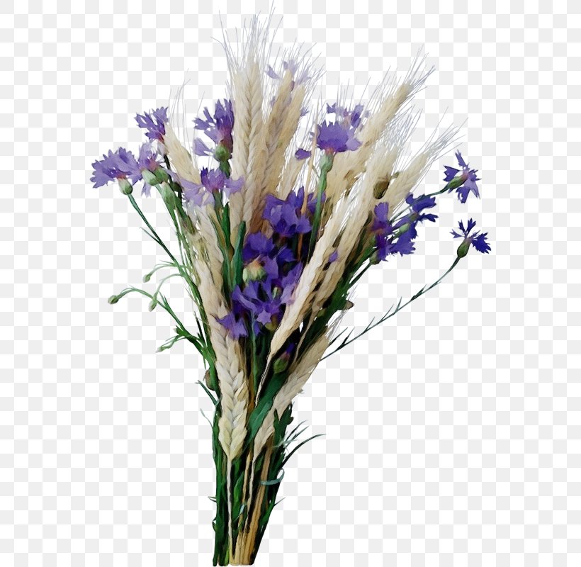 Lavender, PNG, 568x800px, Watercolor, Bouquet, Cut Flowers, English Lavender, Flower Download Free