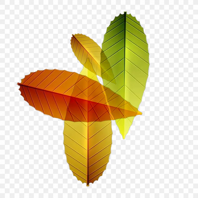 Leaf El Otoo Autumn, PNG, 1500x1500px, Leaf, Autumn, Autumn Leaf Color, El Otoo, Plant Download Free