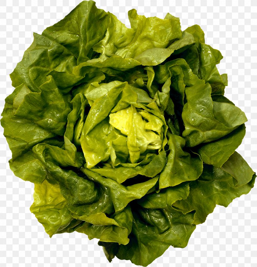 Lettuce Mesclun Vinaigrette Salad Vegetable, PNG, 1237x1286px, Mesclun, Caesar Salad, Cauliflower, Chard, Display Resolution Download Free