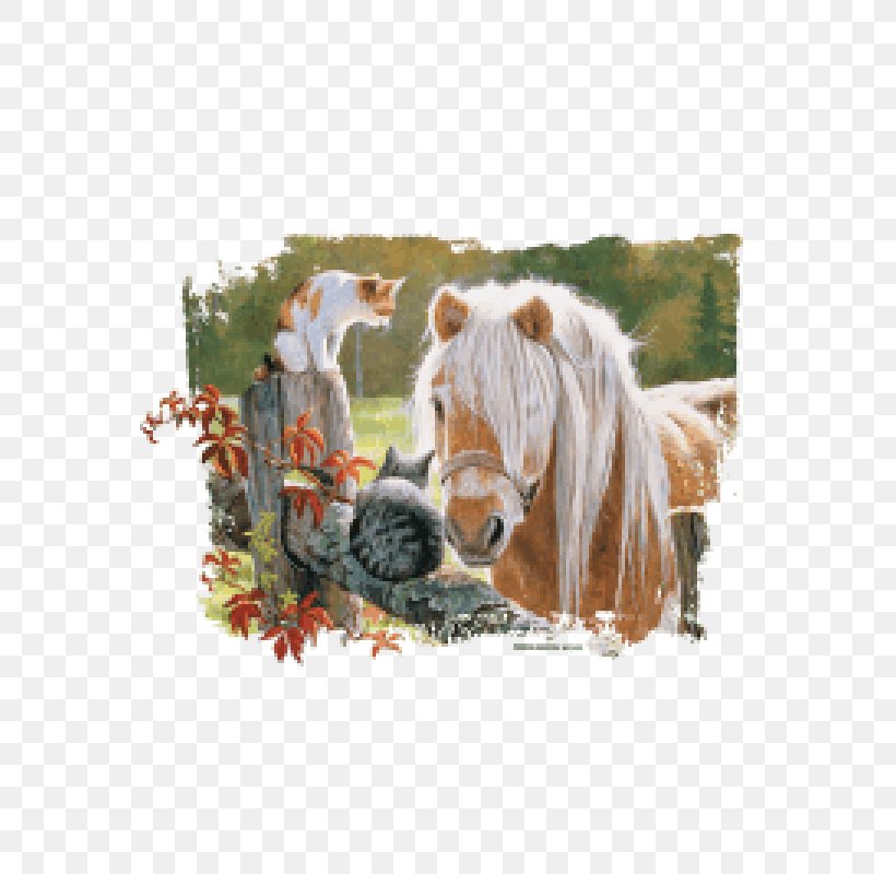 T-shirt Horse Jigsaw Puzzles Greeting & Note Cards Iron-on, PNG, 600x800px, Tshirt, Clothing, Clothing Accessories, Equus, Fauna Download Free