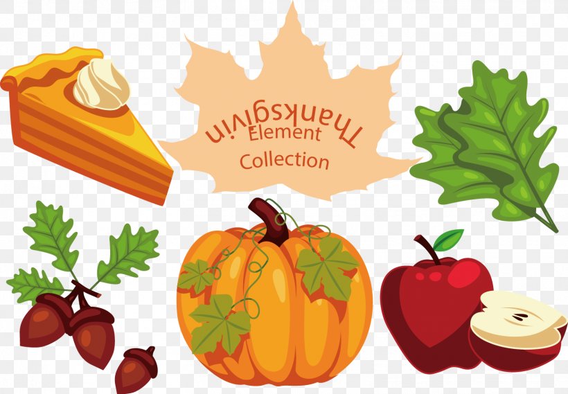 Thanksgiving Turkey Pumpkin Download, PNG, 1572x1092px, Thanksgiving, Auglis, Calabaza, Coreldraw, Cucurbita Download Free