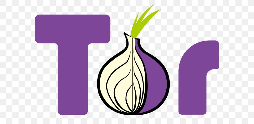 Tor Onion Routing Router .onion Anonymity, PNG, 700x400px, Tor, Anonymity, Anonymous Web Browsing, Brand, Computer Network Download Free