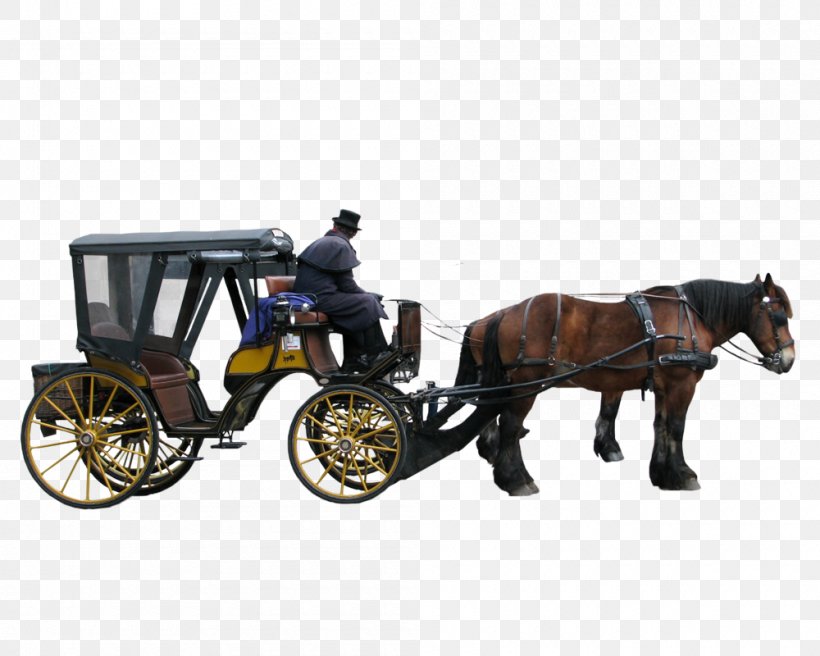 Carriage Litter Horse-drawn Vehicle, PNG, 1000x800px, Carriage, Cart, Chariot, Coachman, Horse Download Free