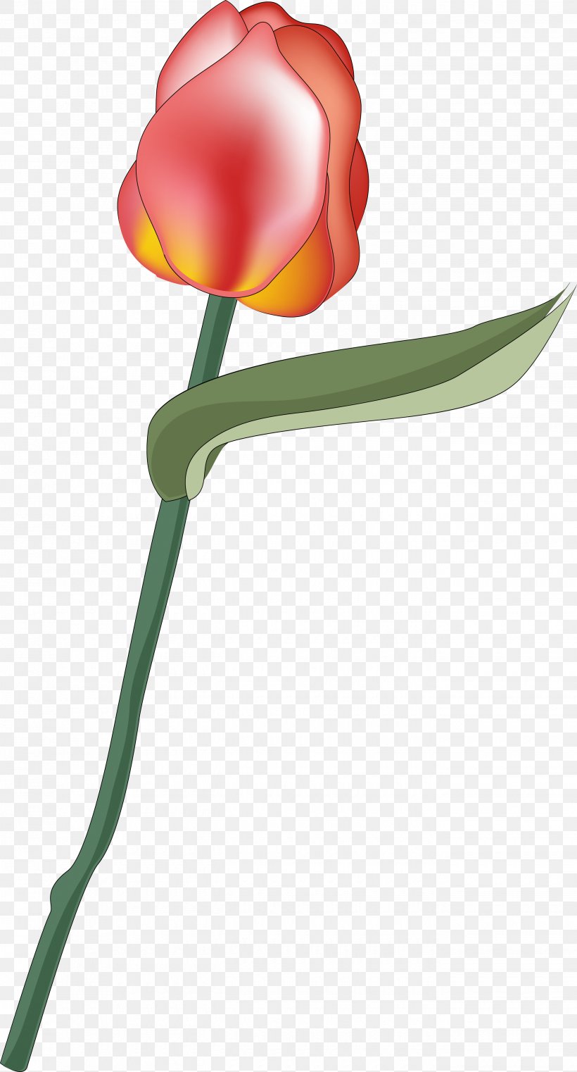 Flowering Plant Rosaceae Tulip Liliaceae, PNG, 2680x4975px, Flowering Plant, Family, Flower, Liliaceae, Lilium Download Free