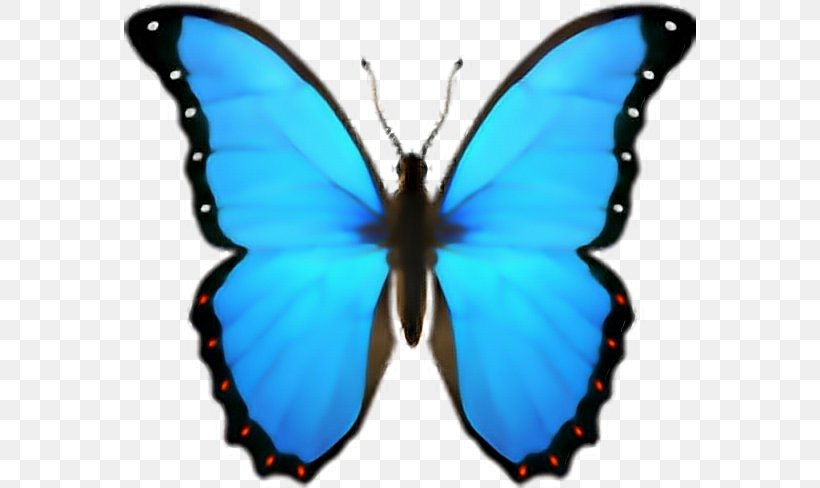 Butterfly Emoji Domain IPhone IOS, PNG, 572x488px, Butterfly, Apple, Arthropod, Brush Footed Butterfly, Emoji Download Free